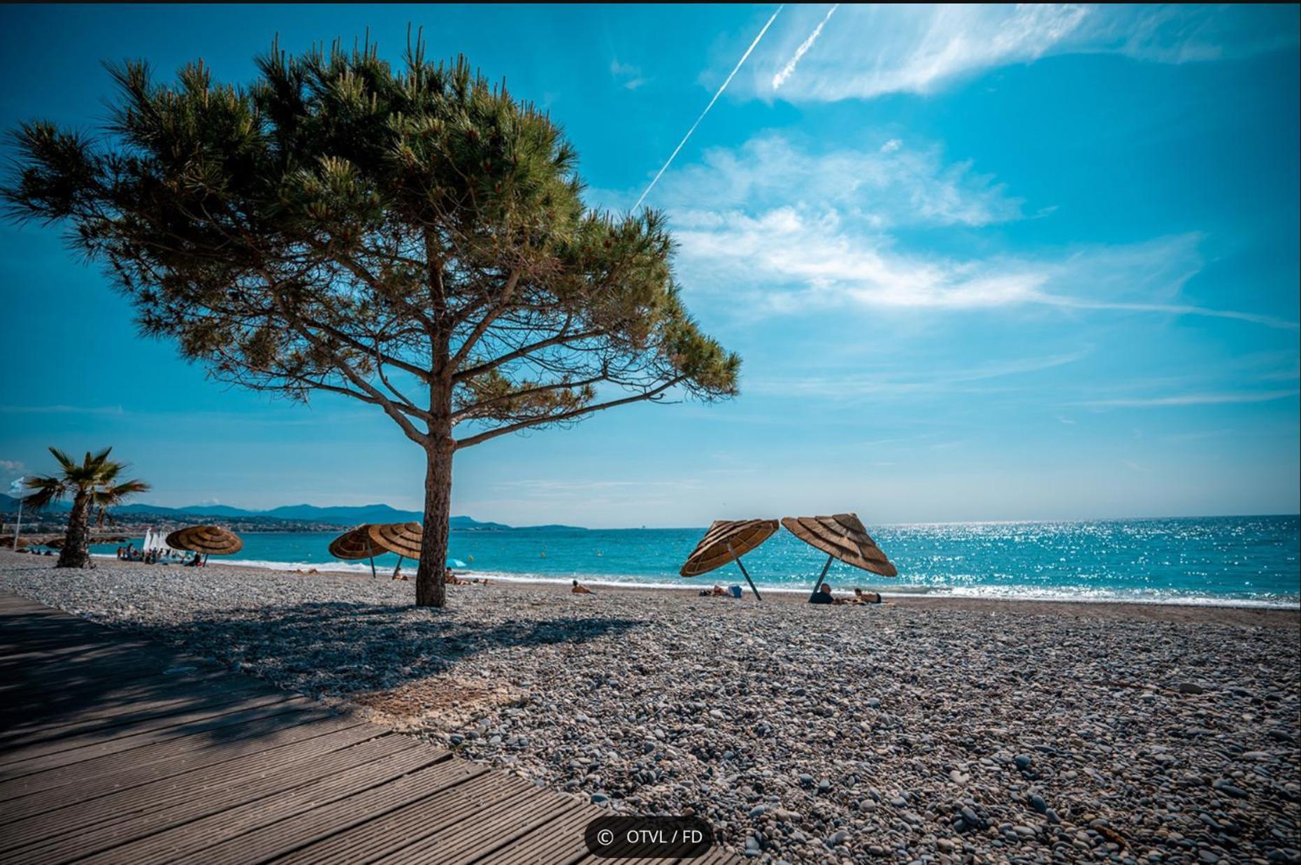 2 Pieces Rez-De-Jardin Dans Maison Avec Piscine Villeneuve-Loubet Exteriör bild